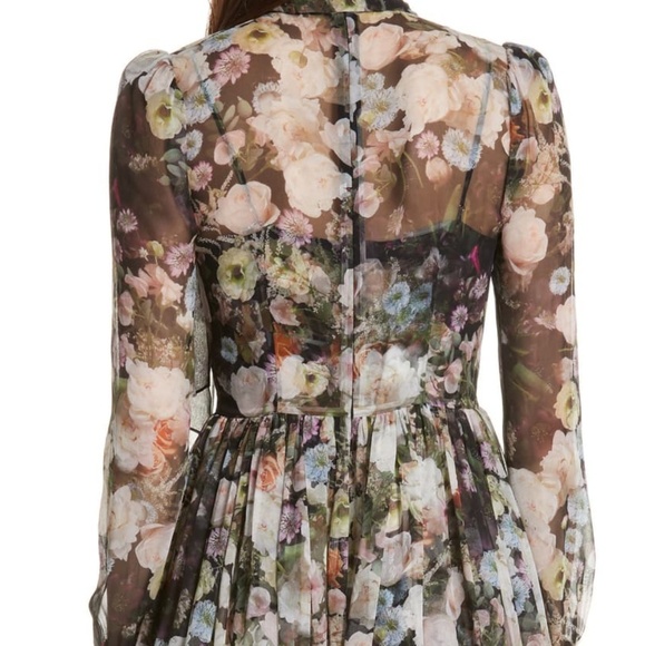 Adam Lippes "Printed Chiffon Tie-Neck Mini Dress" - Picture 5 of 11